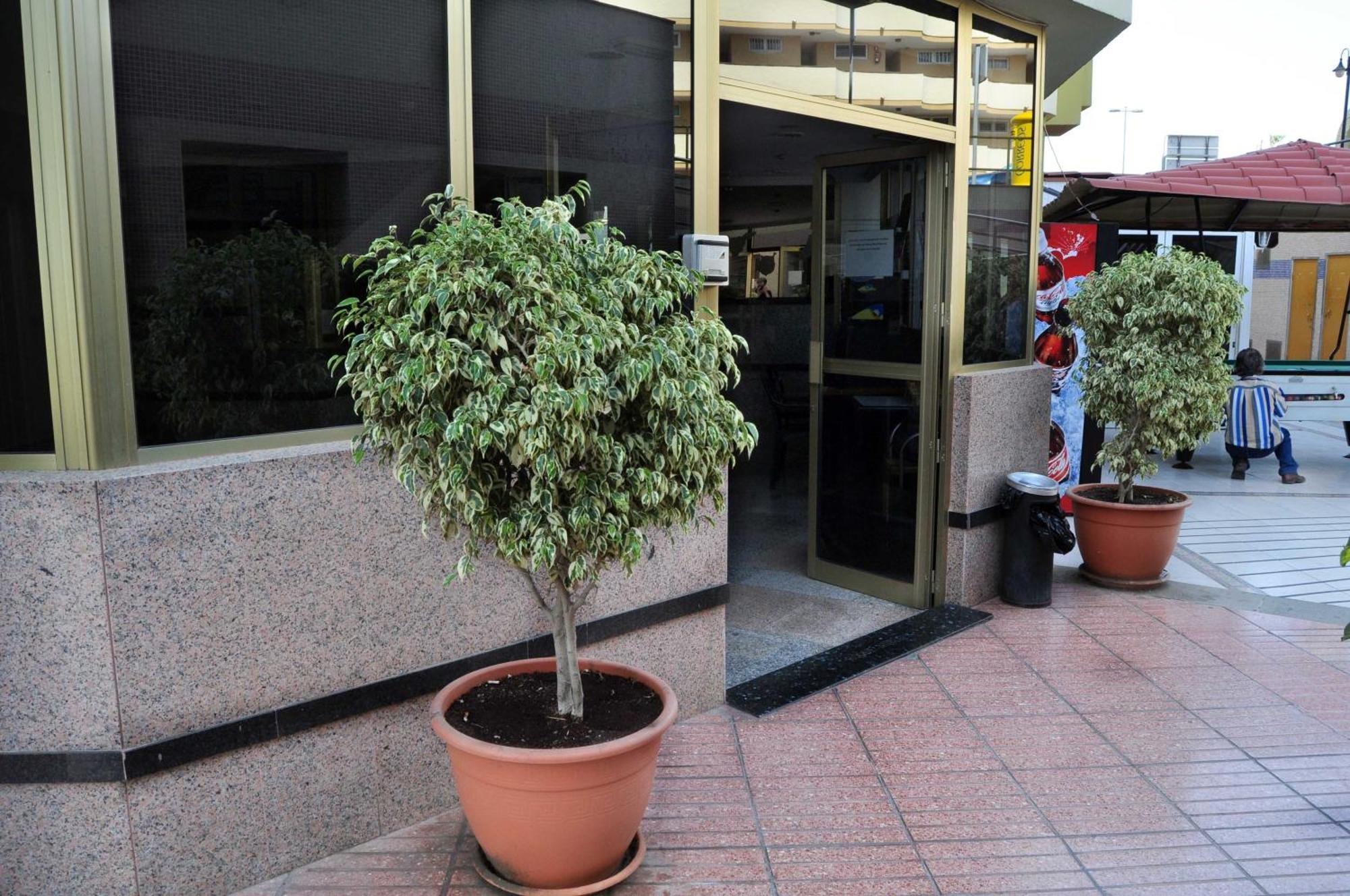 Apartamentos Roque Nublo Playa del Ingles  Ngoại thất bức ảnh
